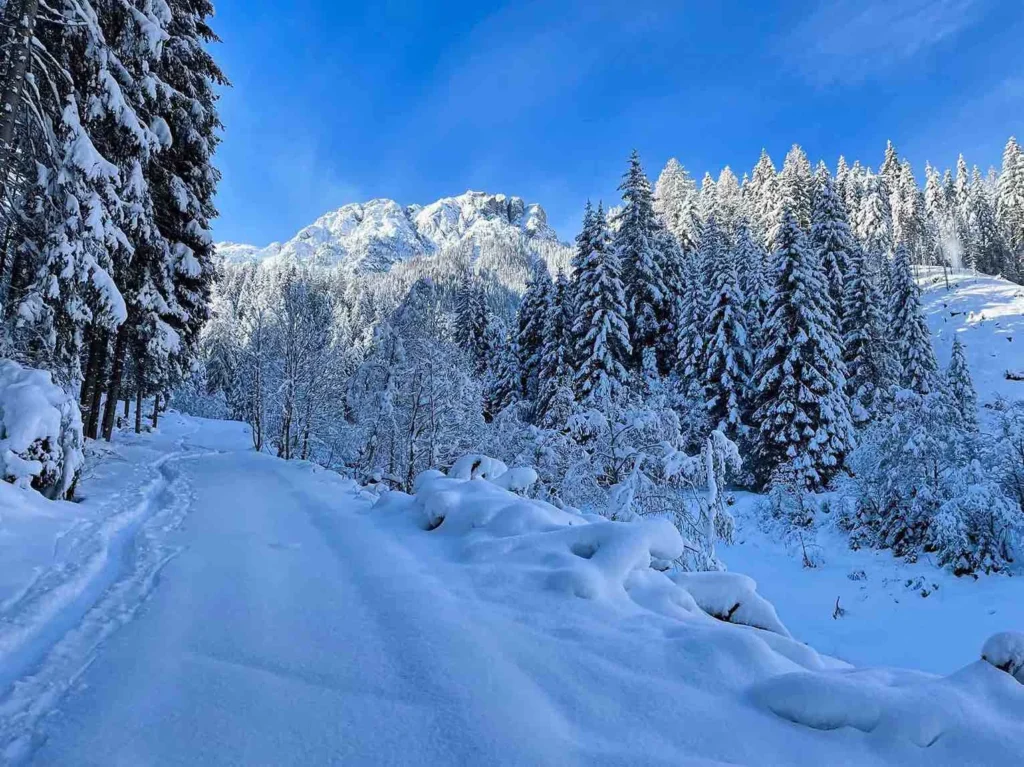 Winterlandschaft am Flatschkofel