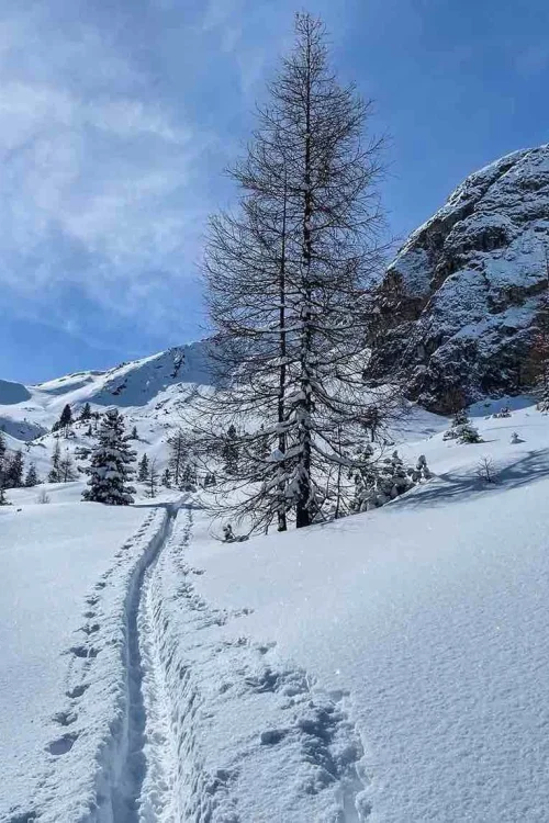 Skitourspuren in der Winterlandschaft
